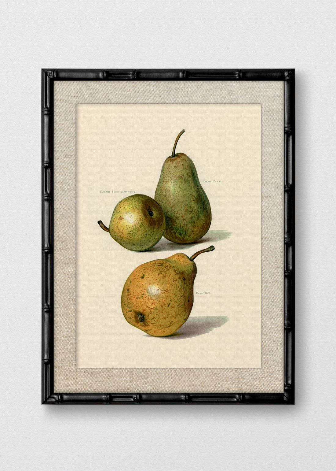 BAMBÚ NEGRO LINO CRUDO
