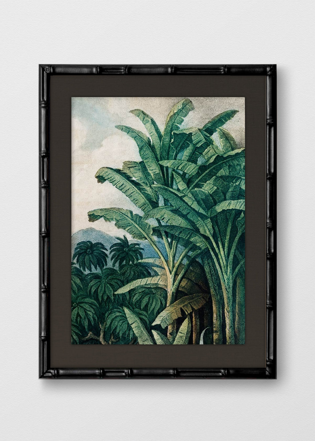 BAMBÚ NEGRO LINO NEGRO