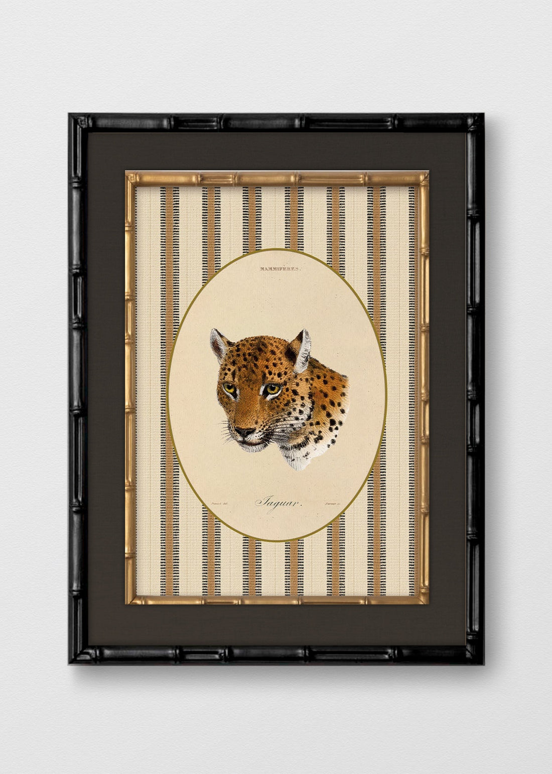 BAMBÚ NEGRO LINO NEGRO