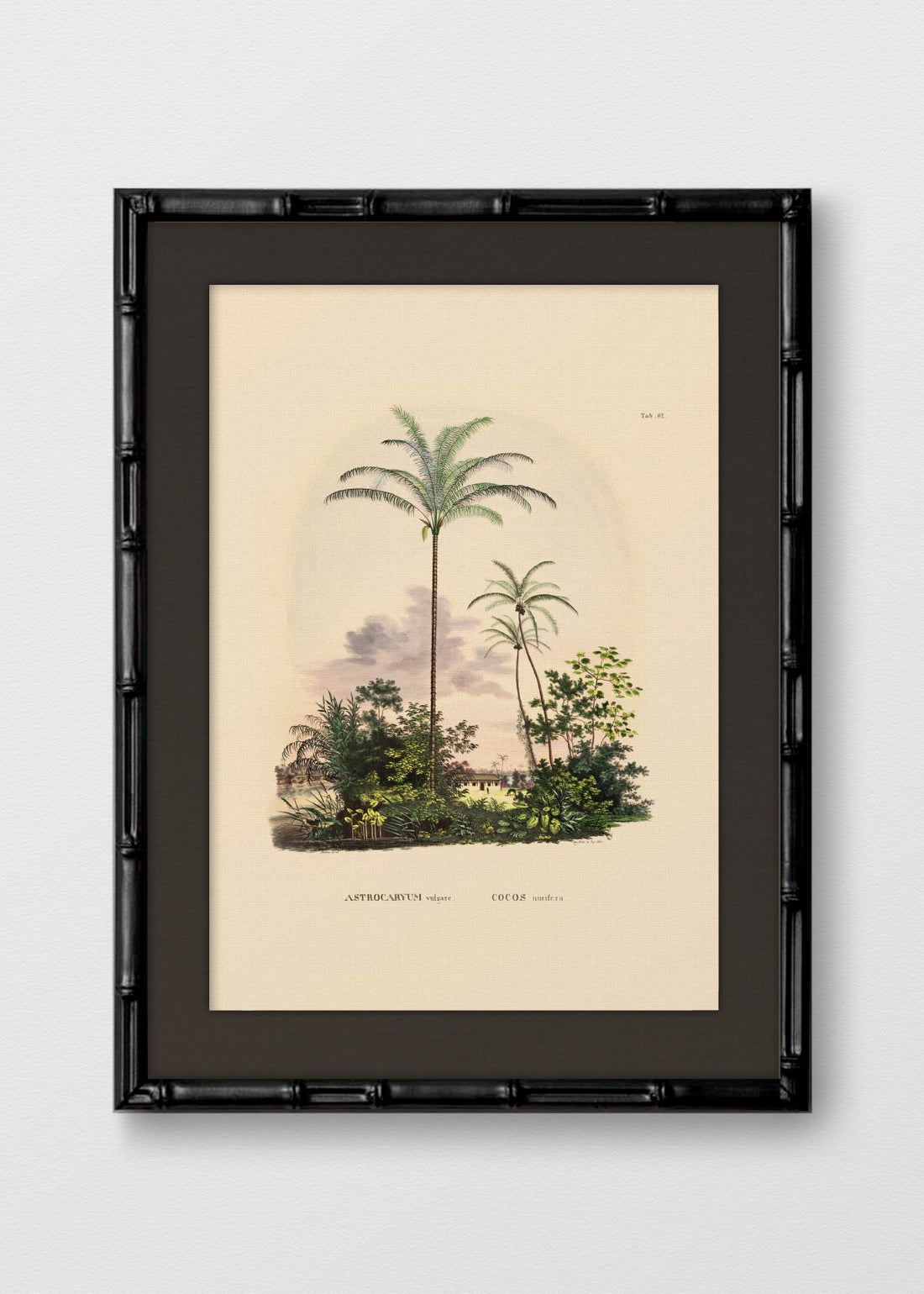 BAMBÚ NEGRO LINO NEGRO