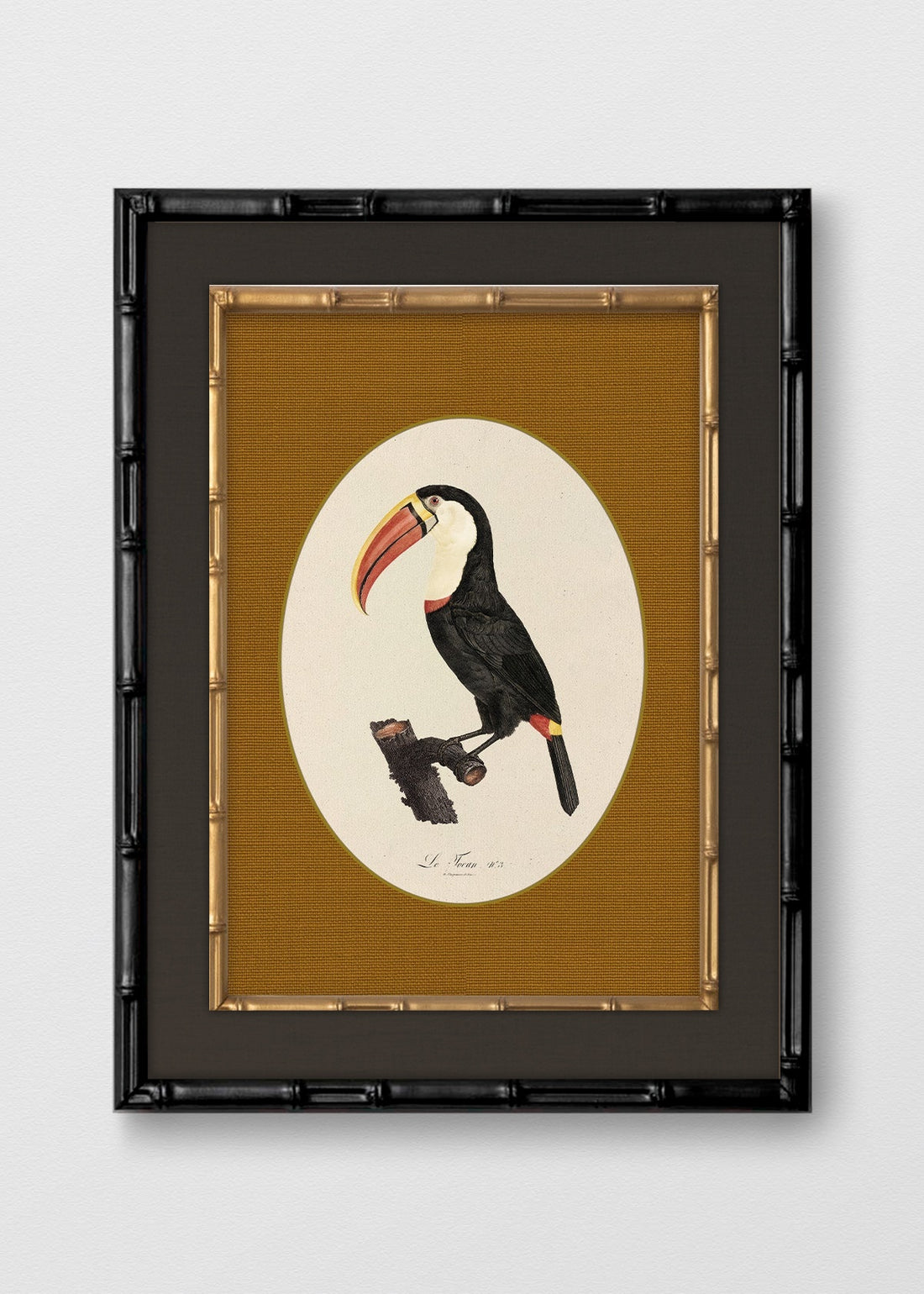 BAMBÚ NEGRO LINO NEGRO
