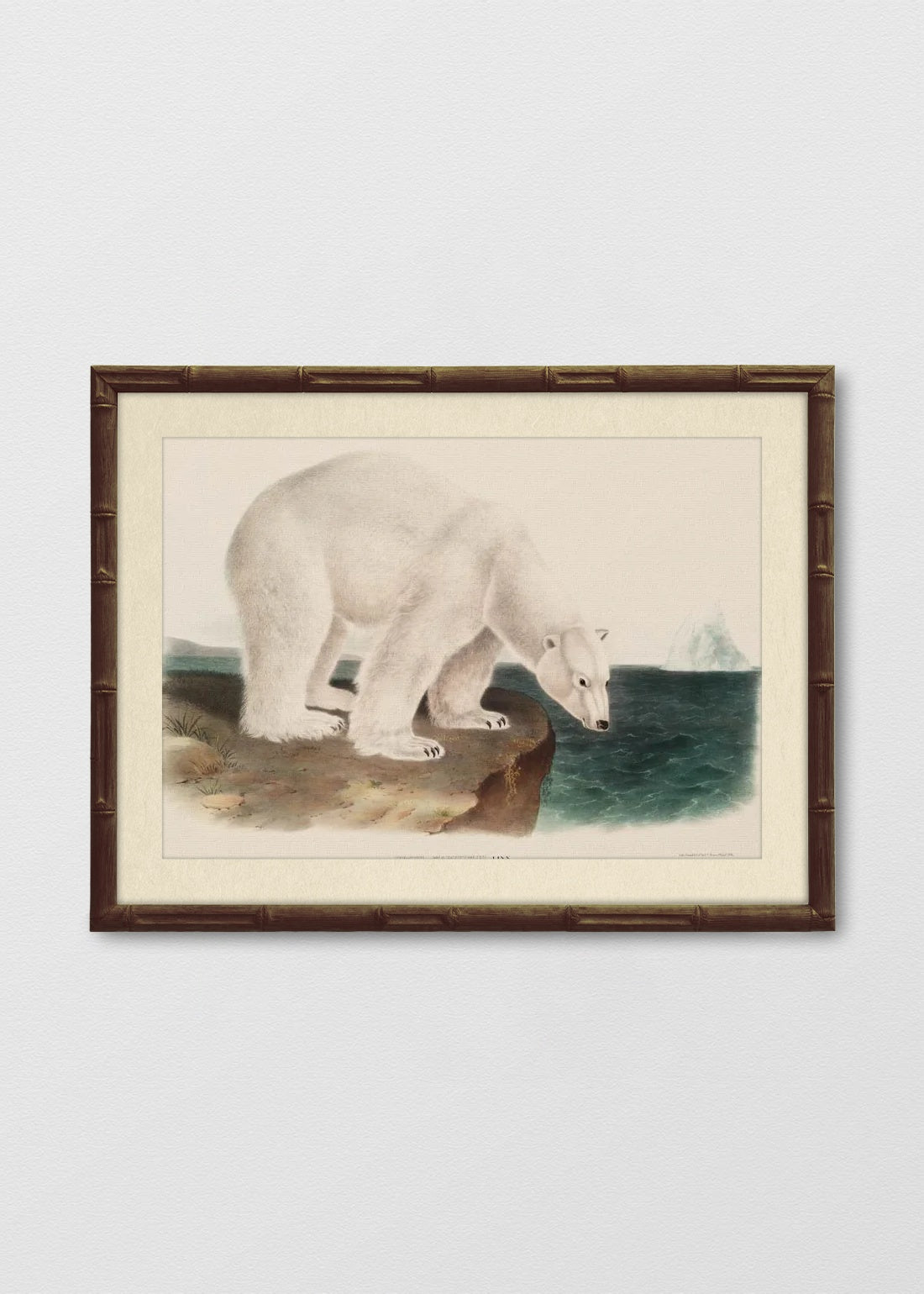 BAMBÚ TINTE NOGAL BLANCO INVIERNO