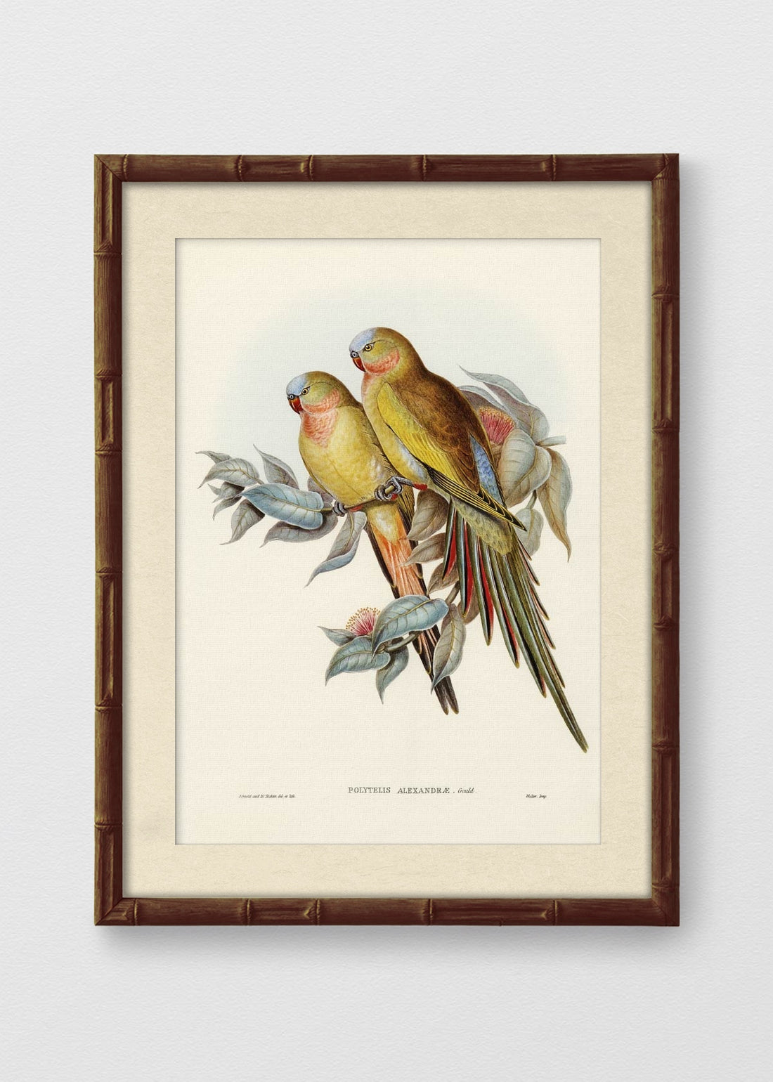 BAMBÚ TINTE NOGAL BLANCO INVIERNO