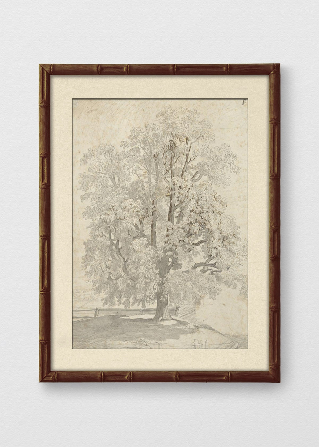 BAMBÚ TINTE NOGAL BLANCO INVIERNO