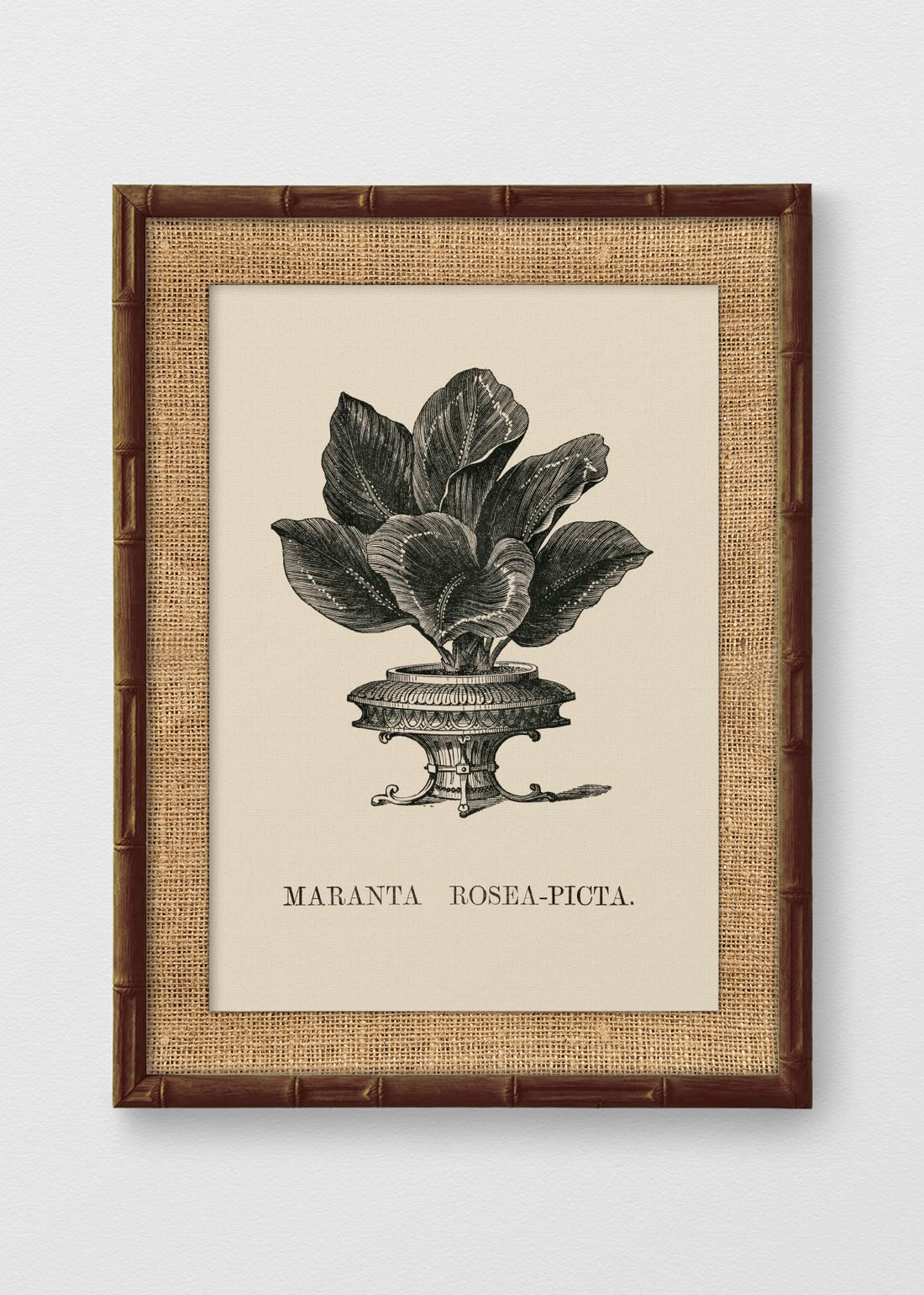 BAMBÚ TINTE NOGAL ARPILLERA