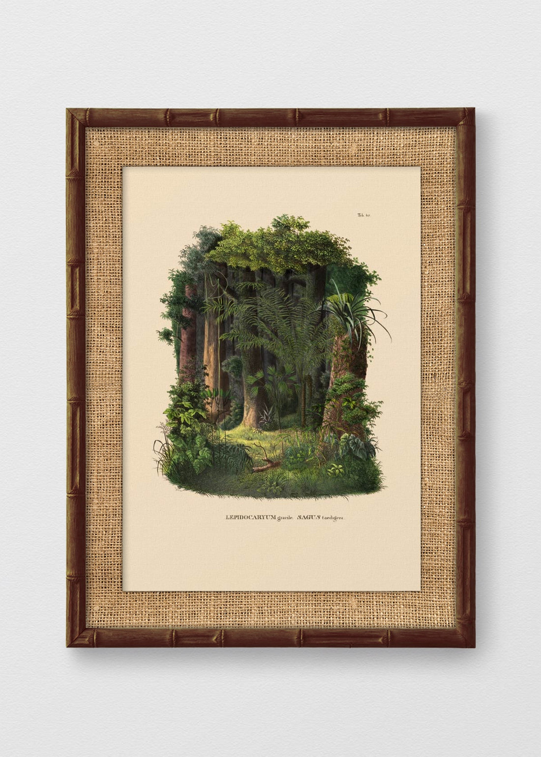BAMBÚ TINTE NOGAL ARPILLERA