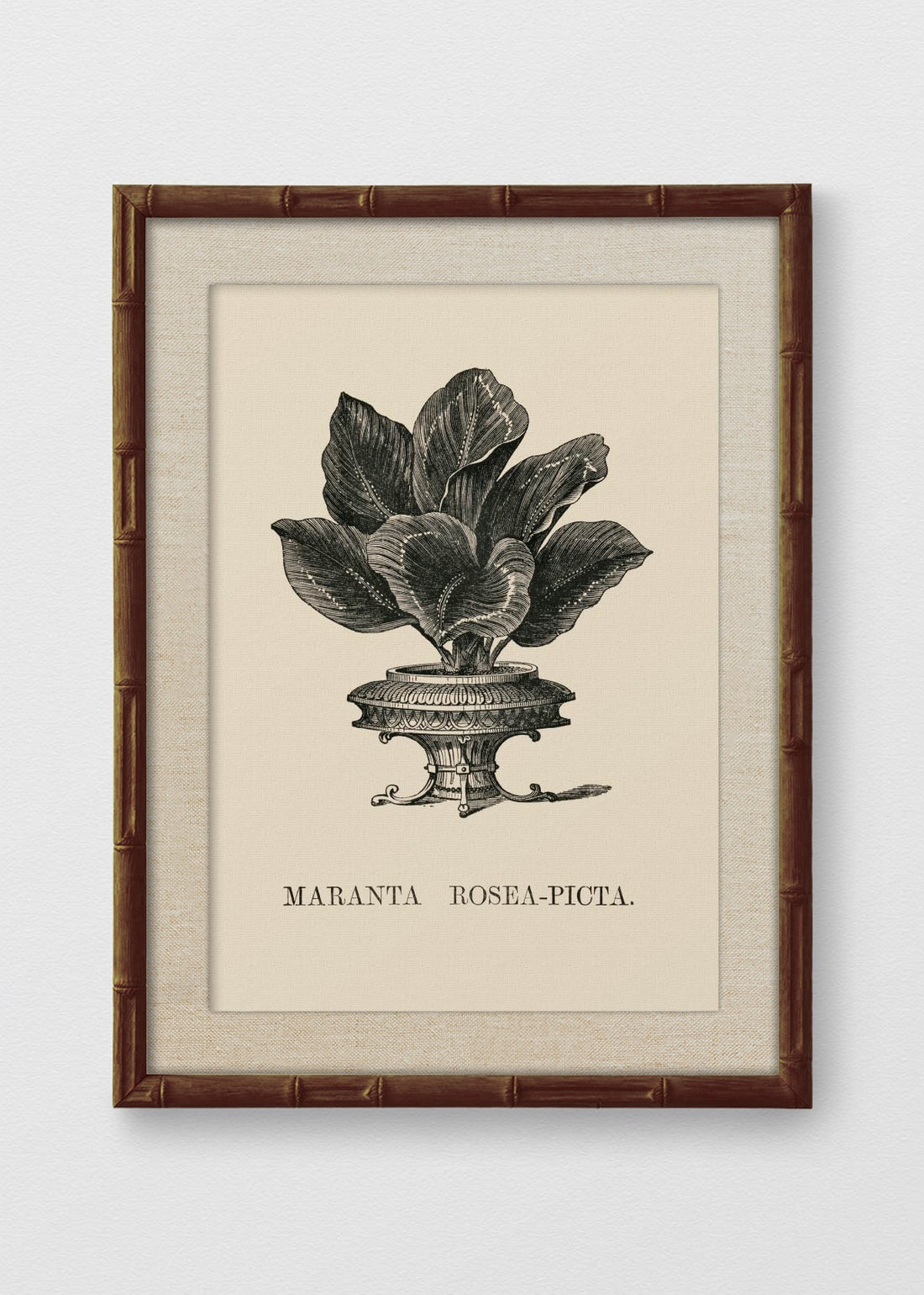 BAMBÚ TINTE NOGAL LINO CRUDO