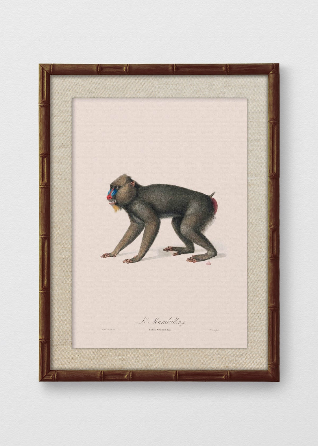 BAMBÚ TINTE NOGAL LINO CRUDO