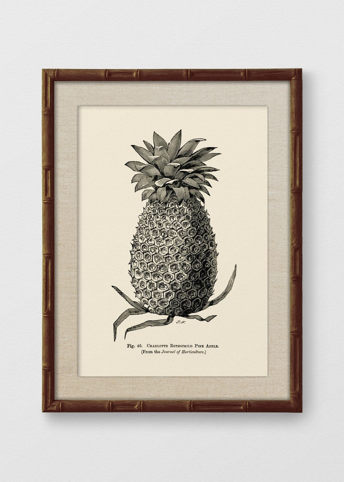 BAMBÚ TINTE NOGAL LINO CRUDO