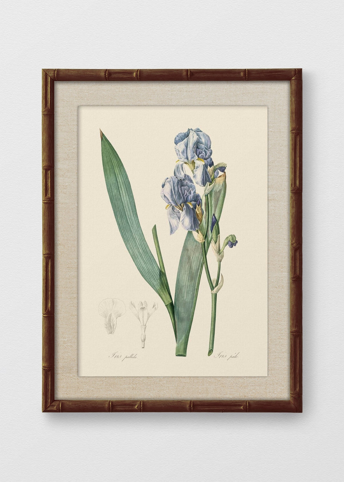 BAMBÚ TINTE NOGAL LINO CRUDO