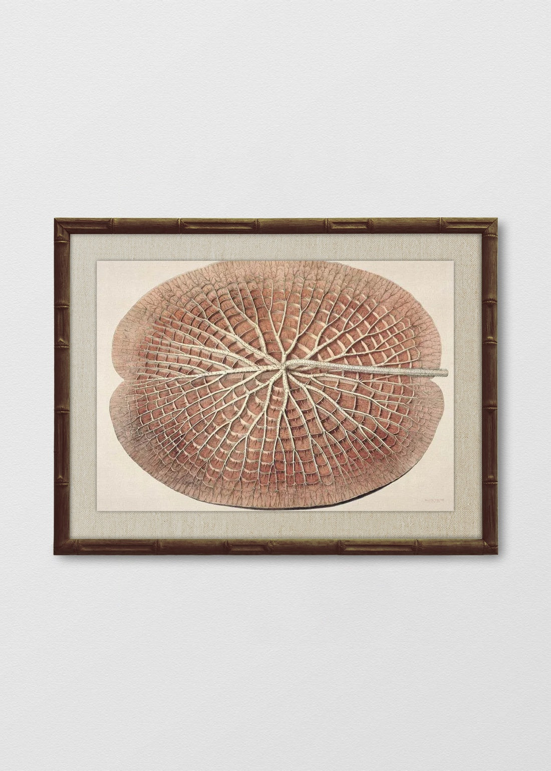 BAMBÚ TINTE NOGAL LINO CRUDO