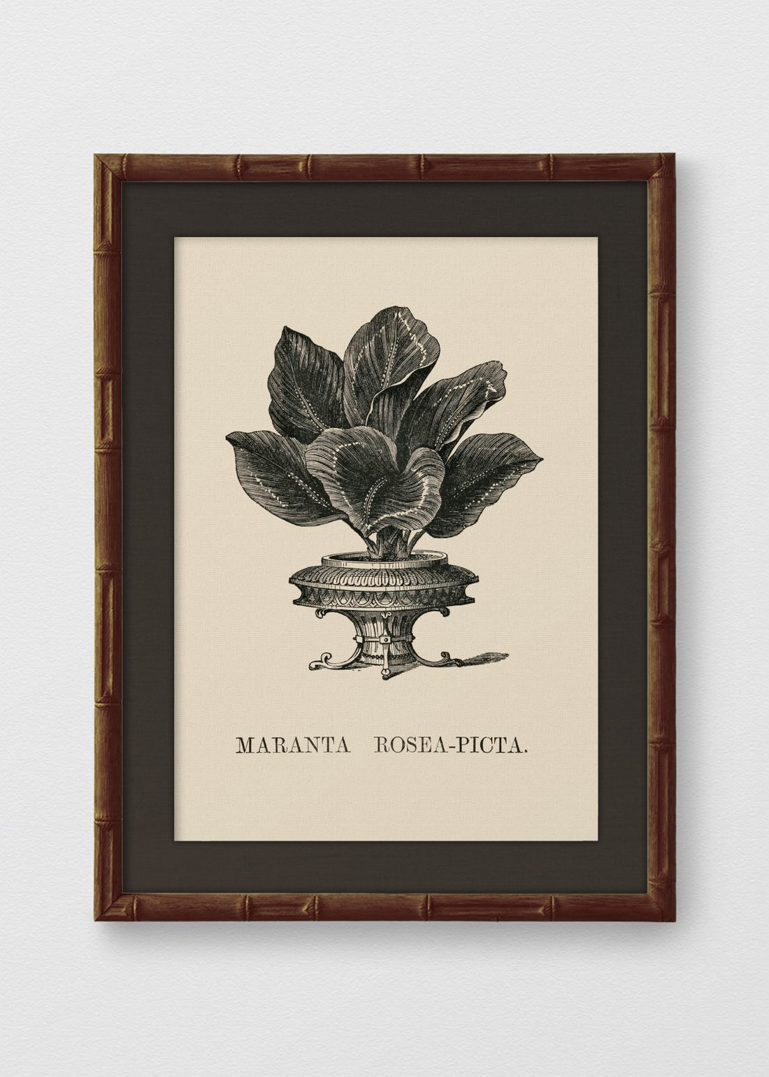 BAMBÚ TINTE NOGAL LINO NEGRO