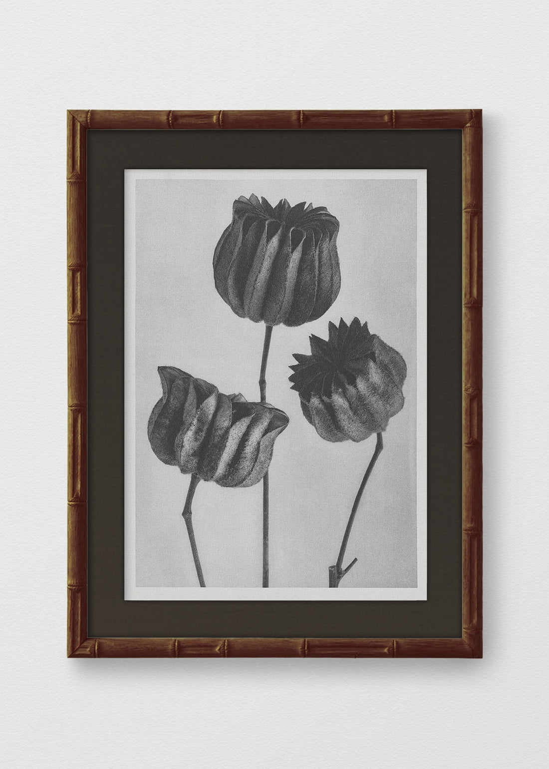 BAMBÚ TINTE NOGAL LINO NEGRO