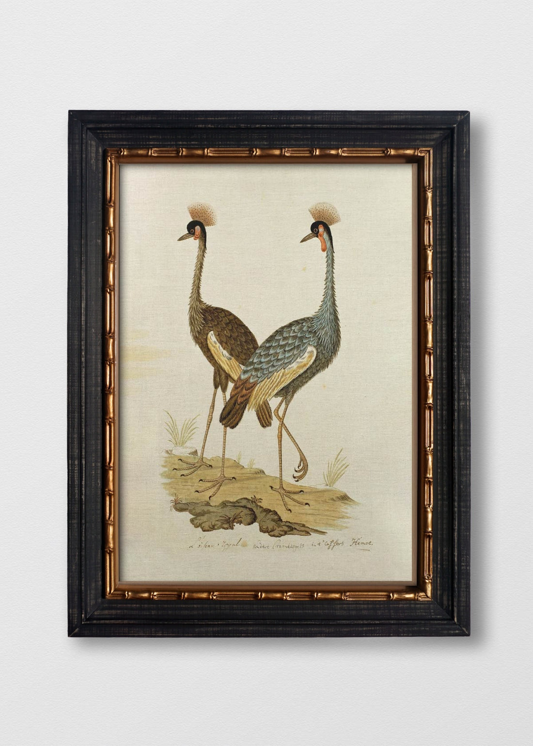 VINTAGE BAMBÚ IMPERIAL NO