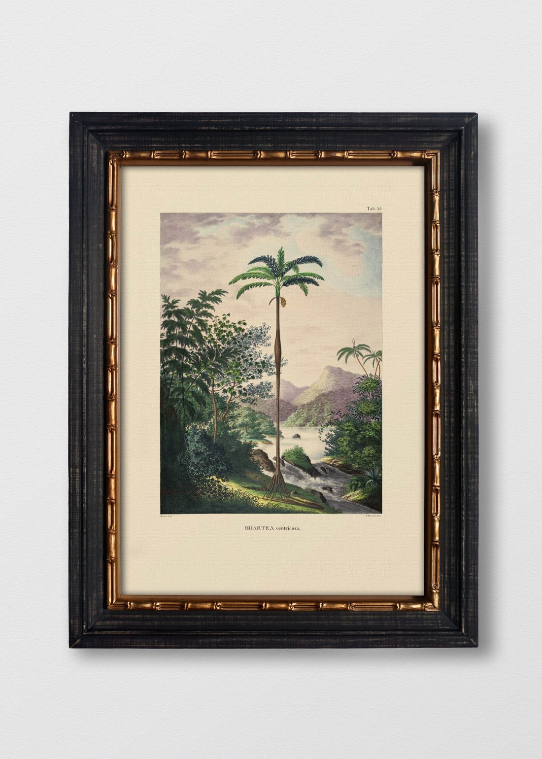 VINTAGE BAMBÚ IMPERIAL NO