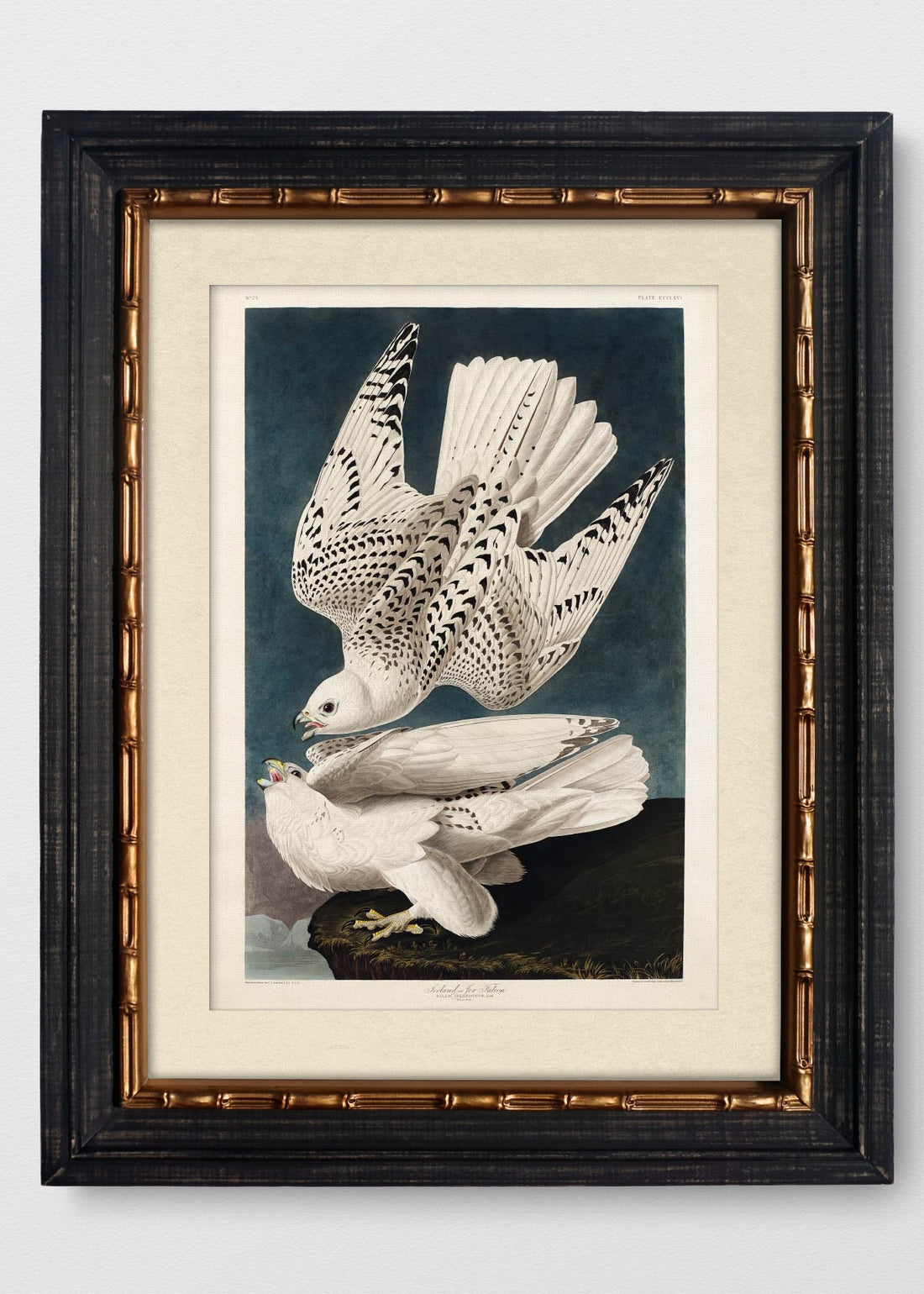 VINTAGE BAMBÚ IMPERIAL BLANCO INVIERNO