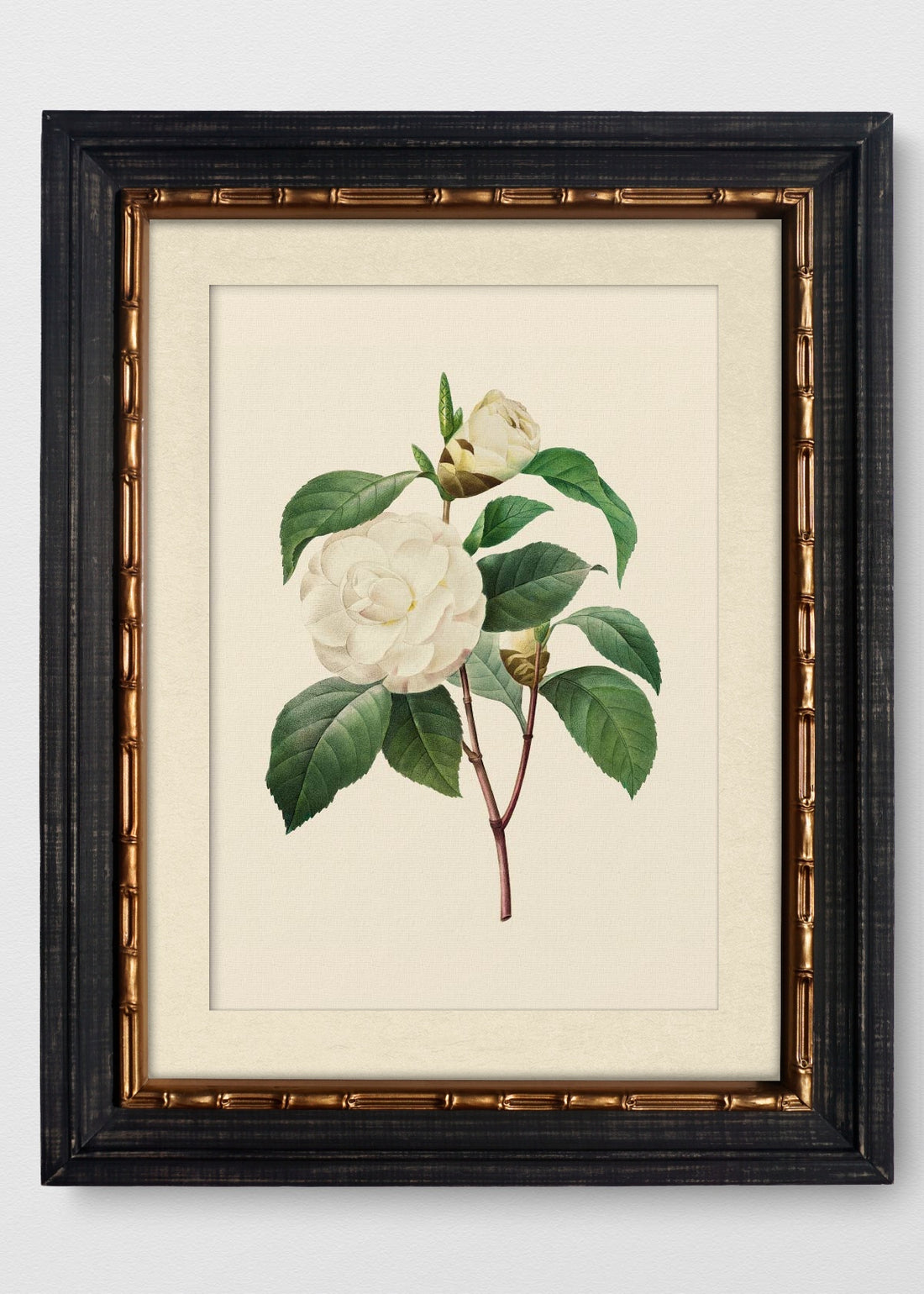 VINTAGE BAMBÚ IMPERIAL BLANCO INVIERNO