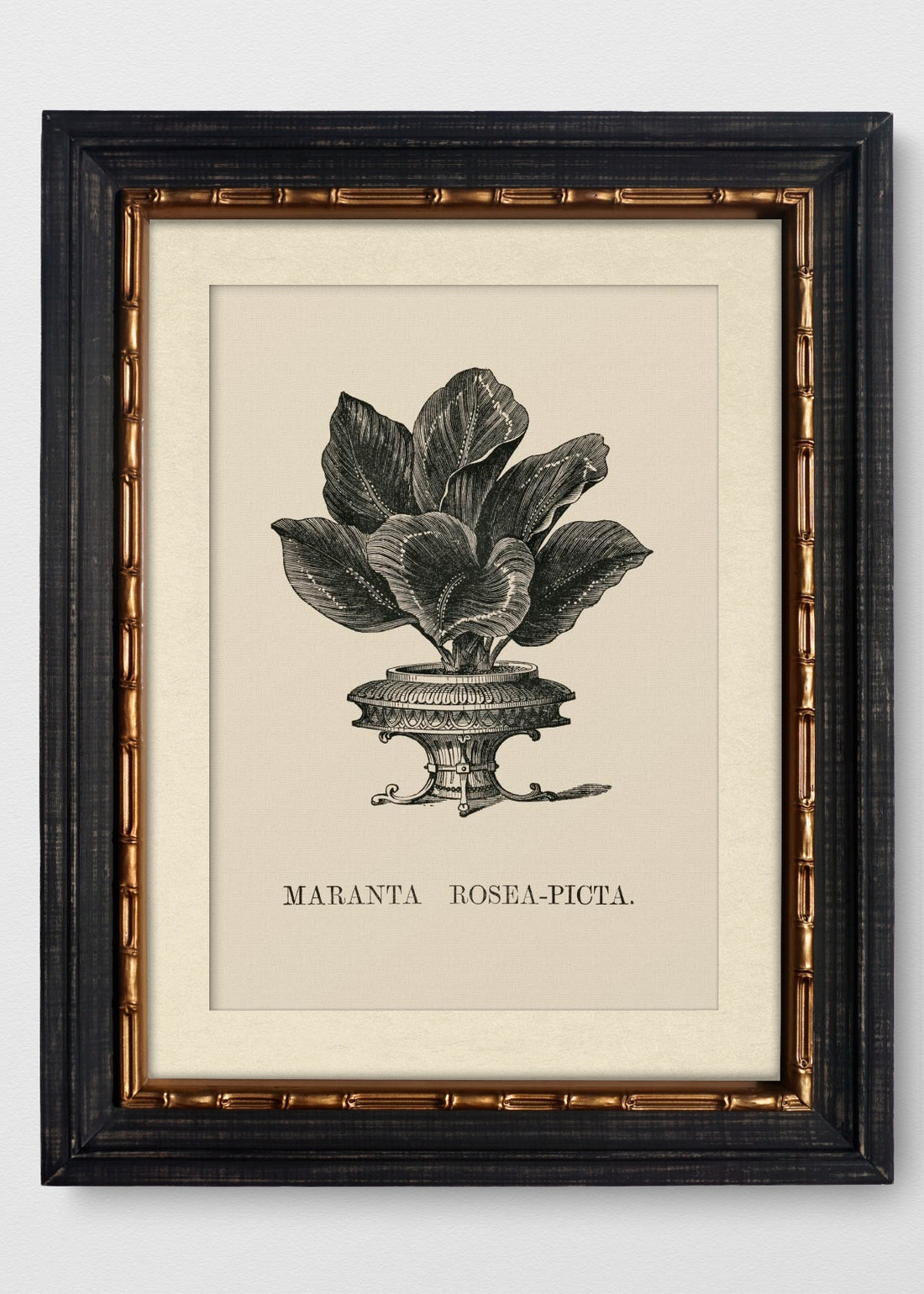 VINTAGE BAMBÚ IMPERIAL BLANCO INVIERNO