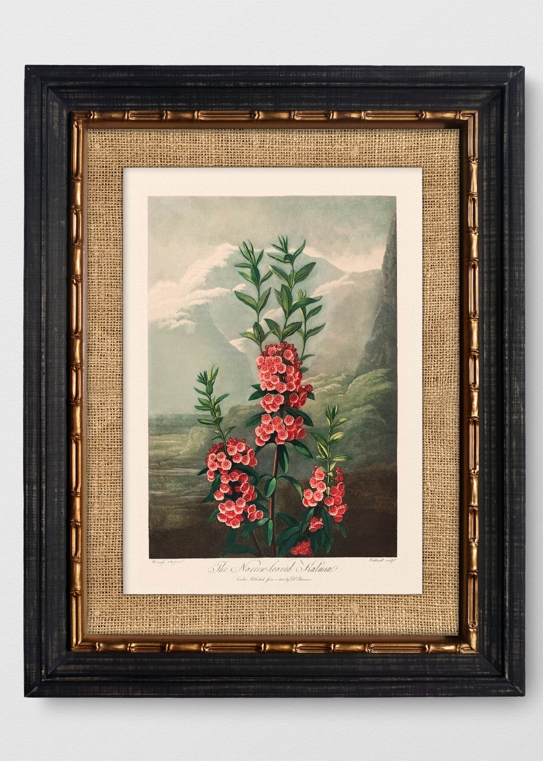 VINTAGE BAMBÚ IMPERIAL ARPILLERA