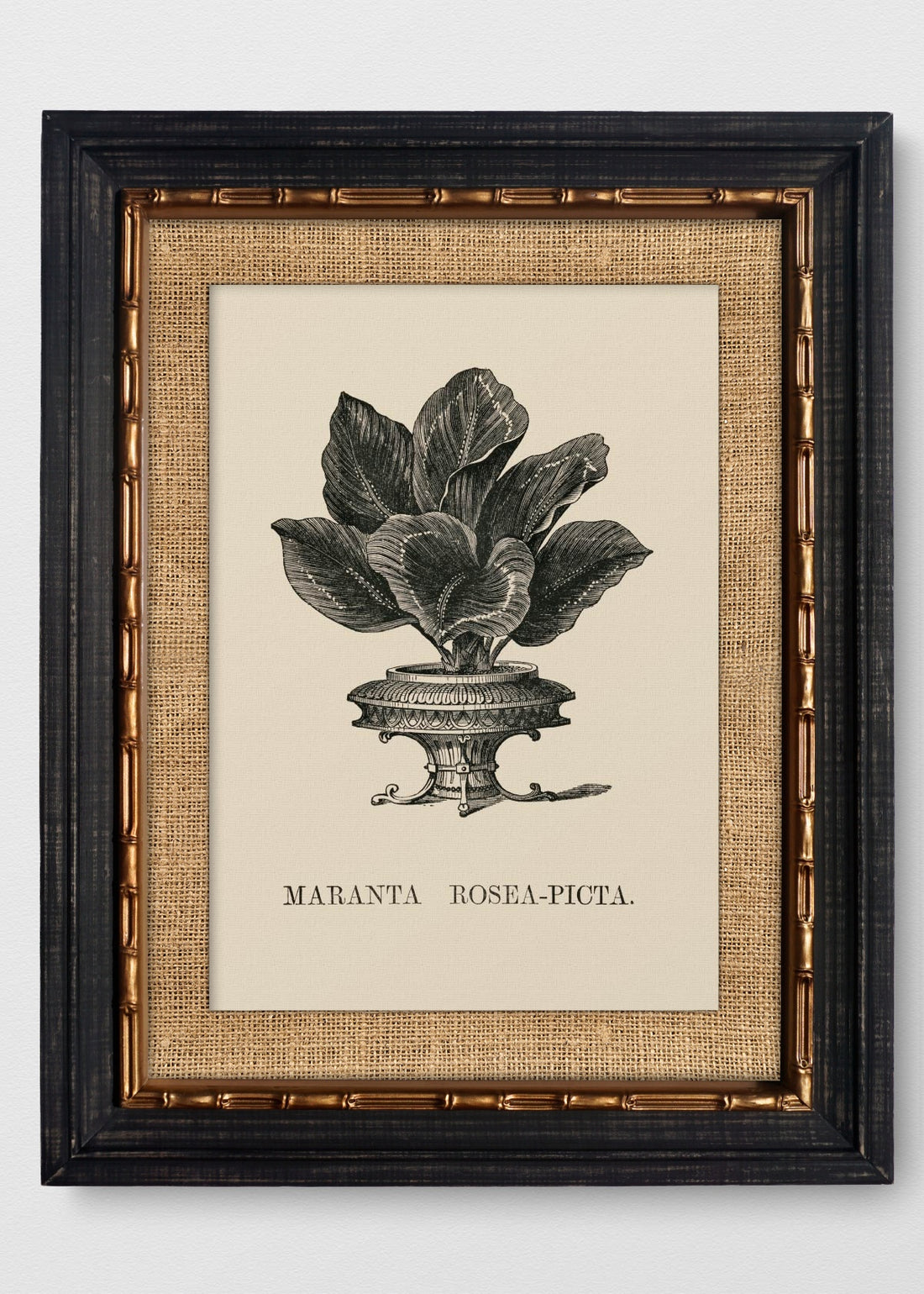 VINTAGE BAMBÚ IMPERIAL ARPILLERA