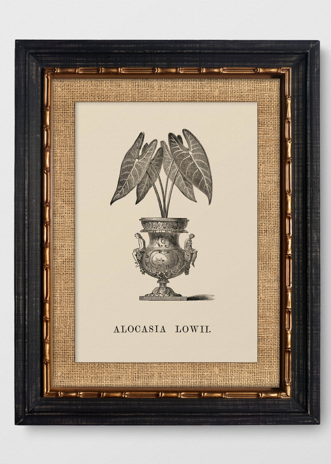 VINTAGE BAMBÚ IMPERIAL ARPILLERA