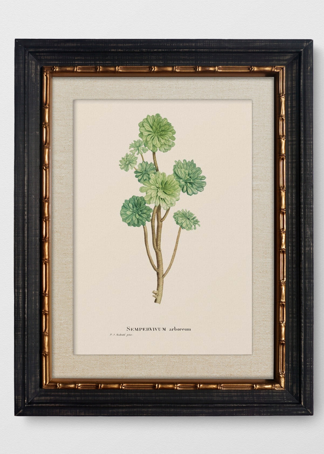 VINTAGE BAMBÚ IMPERIAL LINO CRUDO