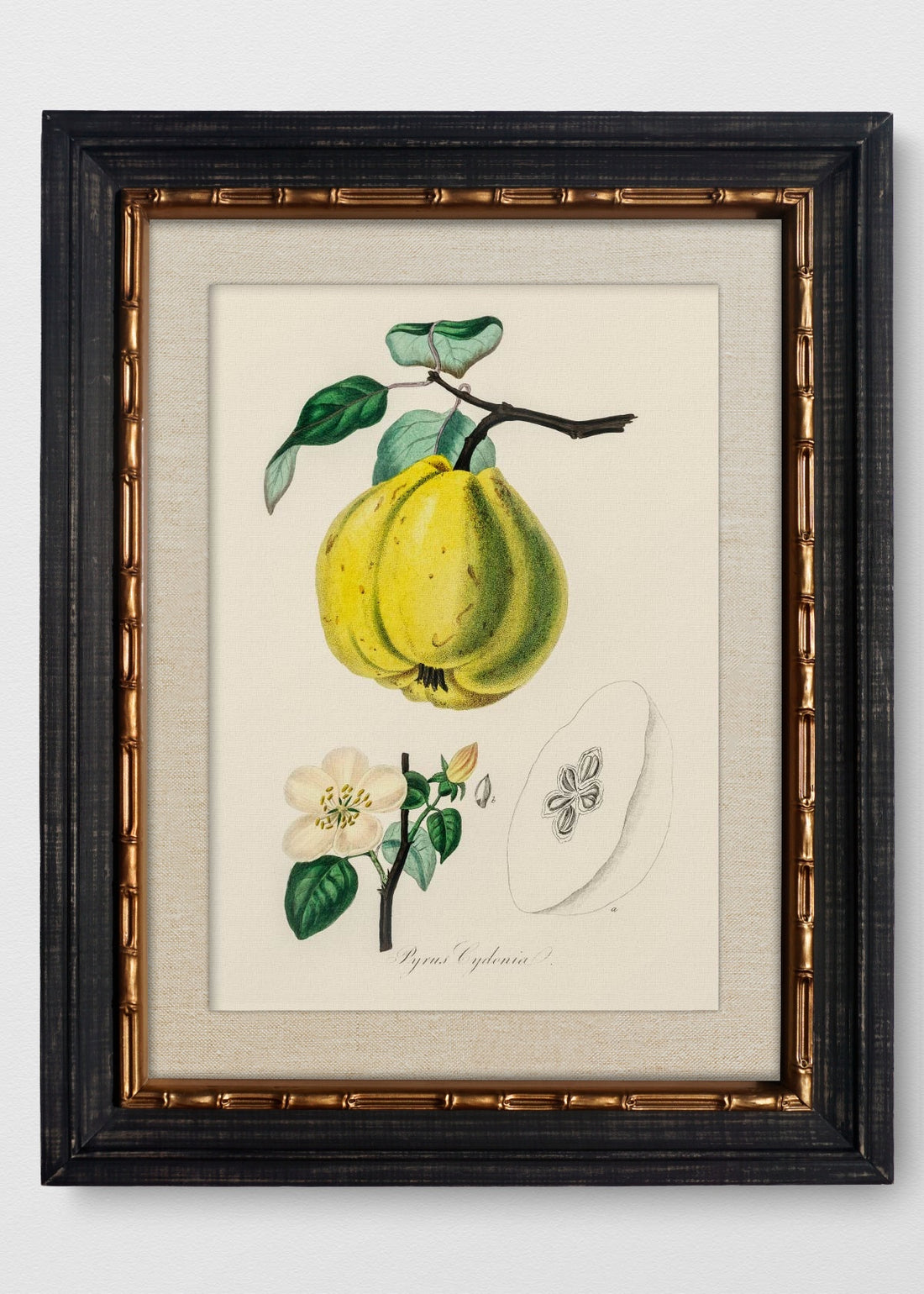 VINTAGE BAMBÚ IMPERIAL LINO CRUDO