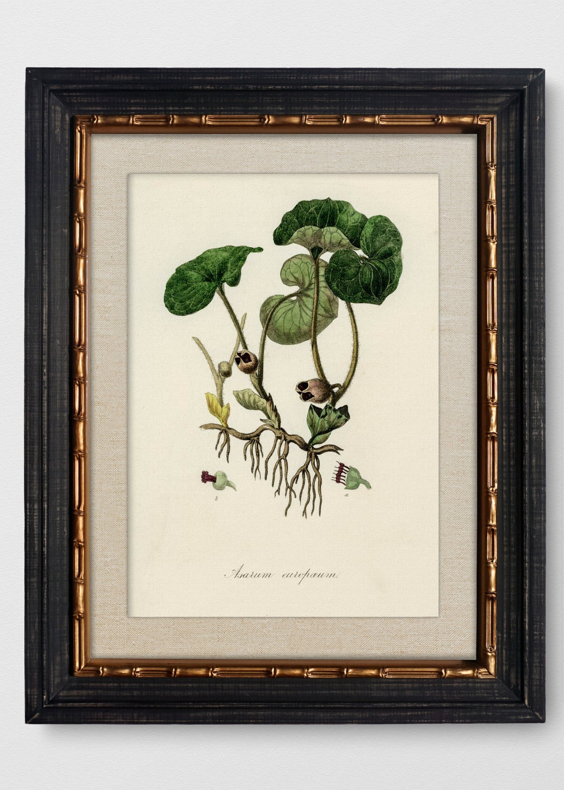 VINTAGE BAMBÚ IMPERIAL LINO CRUDO
