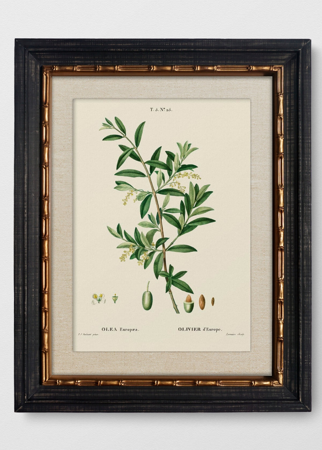 VINTAGE BAMBÚ IMPERIAL LINO CRUDO