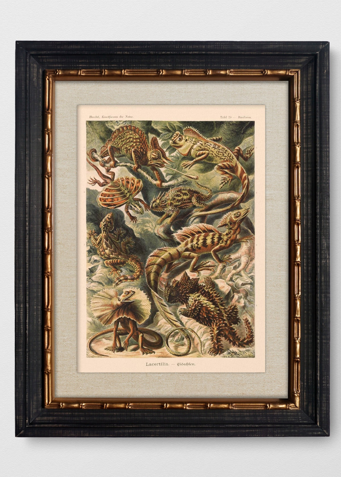 VINTAGE BAMBÚ IMPERIAL LINO CRUDO