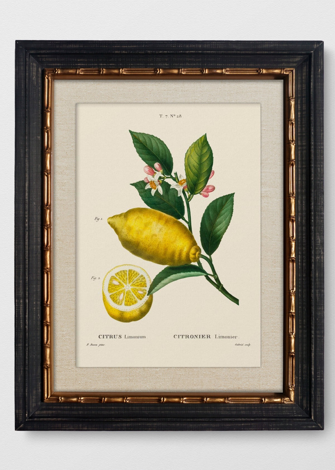 VINTAGE BAMBÚ IMPERIAL LINO CRUDO