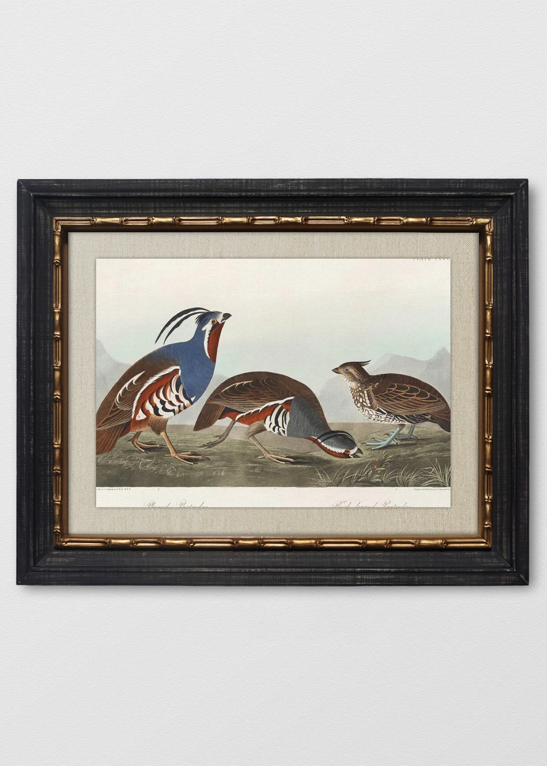 VINTAGE BAMBÚ IMPERIAL LINO CRUDO