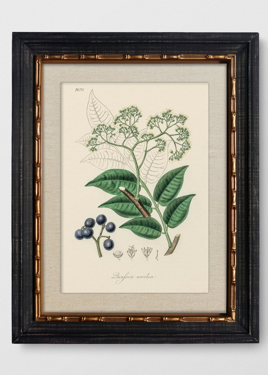 VINTAGE BAMBÚ IMPERIAL LINO CRUDO