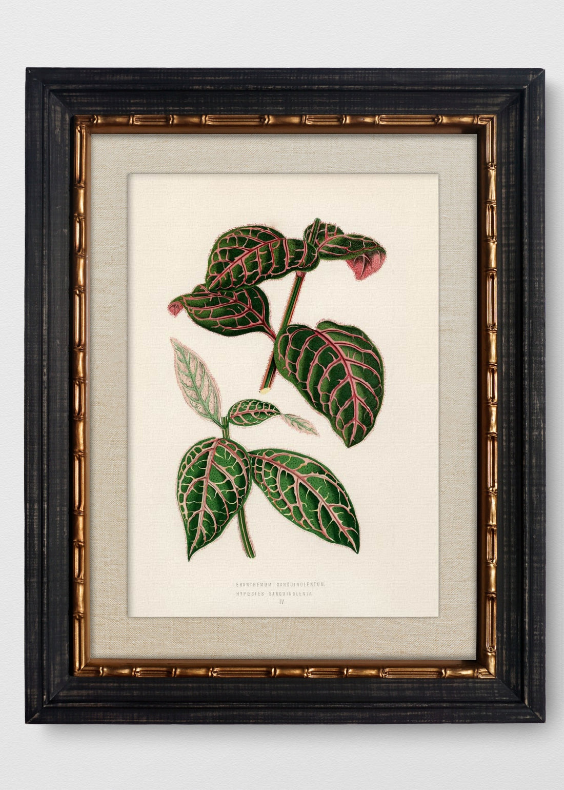 VINTAGE BAMBÚ IMPERIAL LINO CRUDO