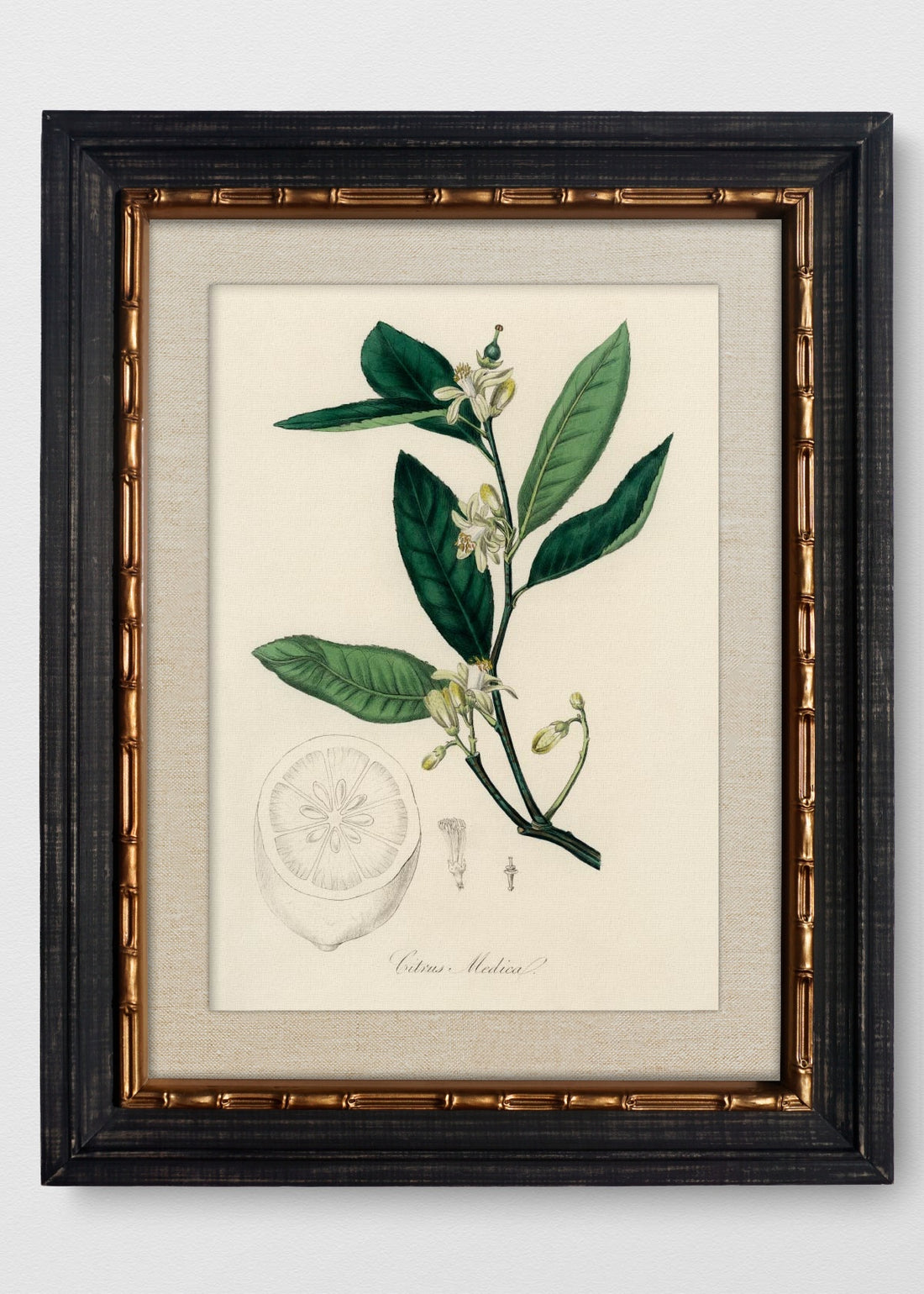 VINTAGE BAMBÚ IMPERIAL LINO CRUDO