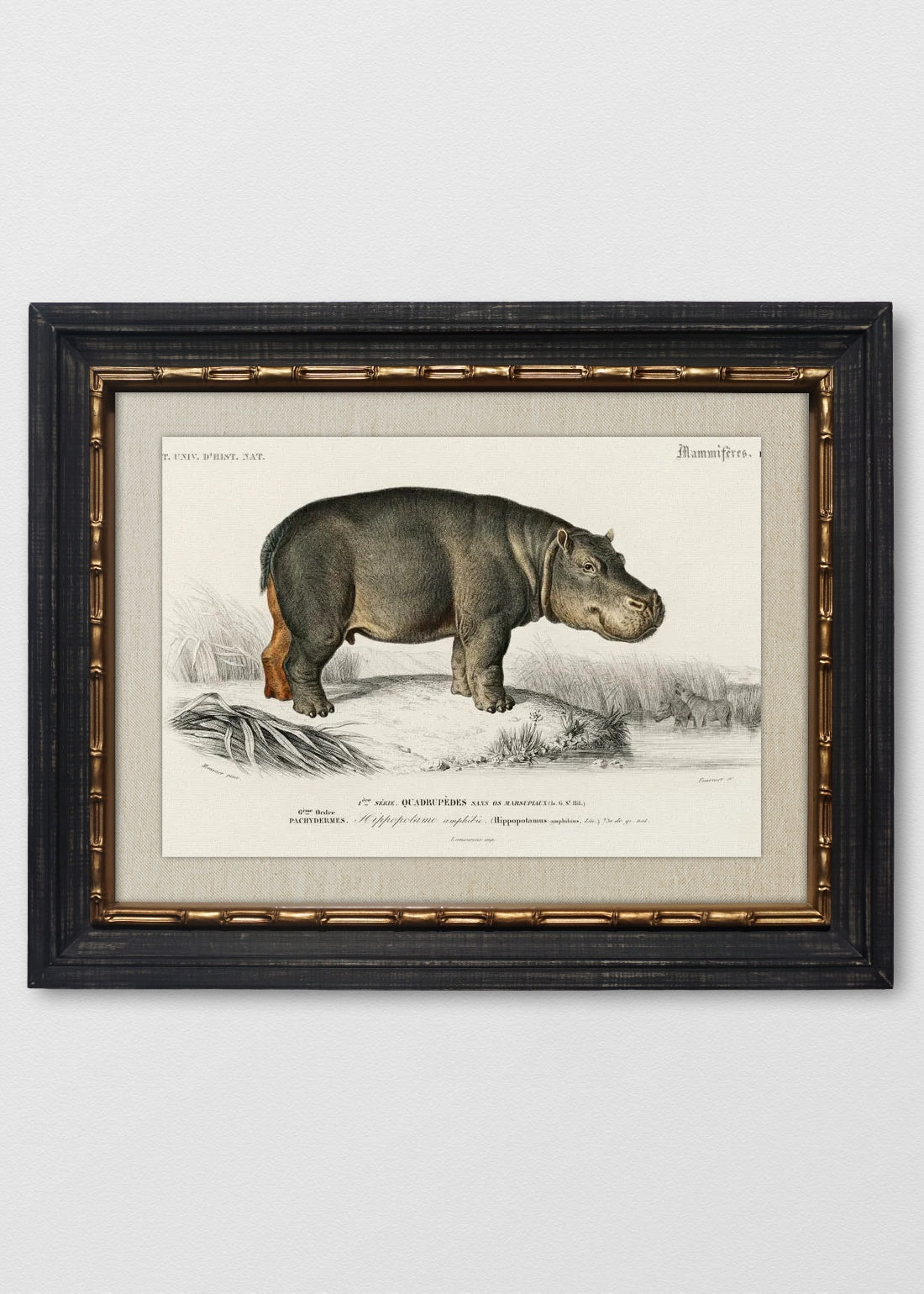 VINTAGE BAMBÚ IMPERIAL LINO CRUDO