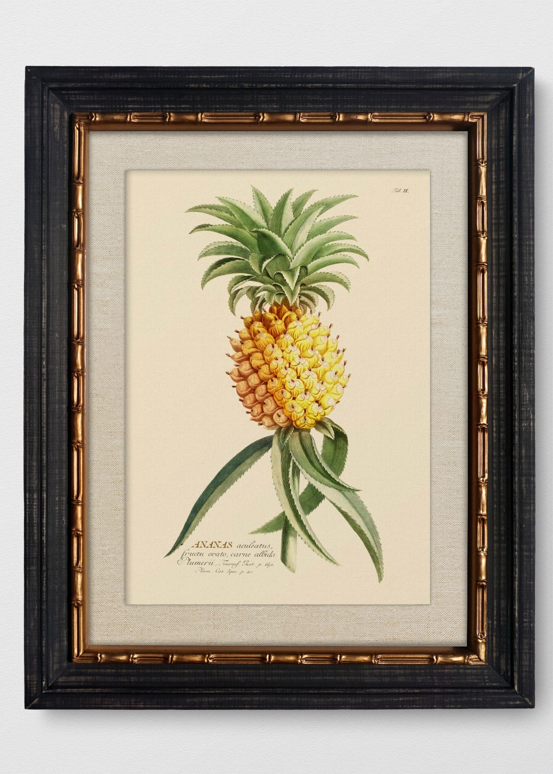VINTAGE BAMBÚ IMPERIAL LINO CRUDO