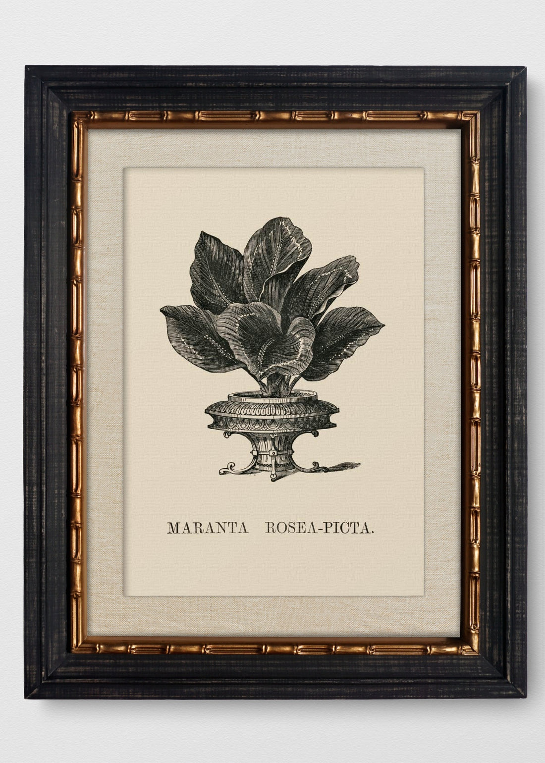 VINTAGE BAMBÚ IMPERIAL LINO CRUDO