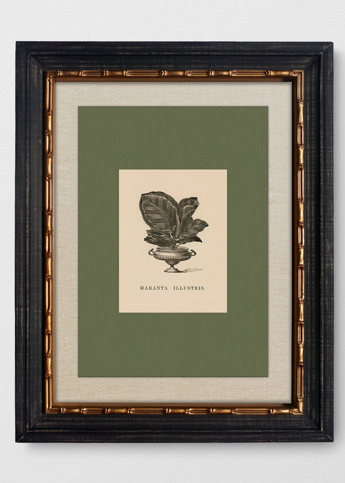 VINTAGE BAMBÚ IMPERIAL LINO CRUDO