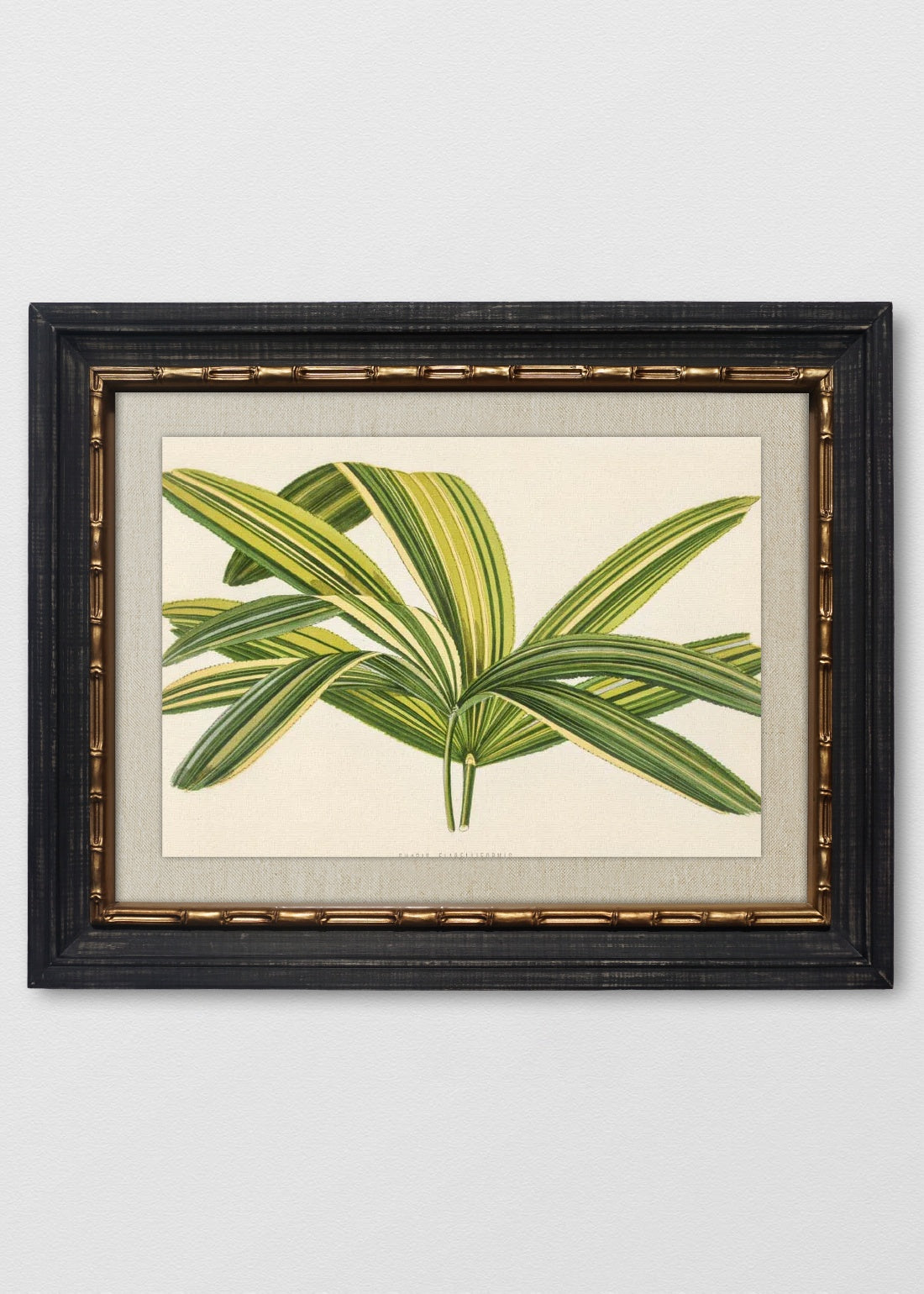 VINTAGE BAMBÚ IMPERIAL LINO CRUDO