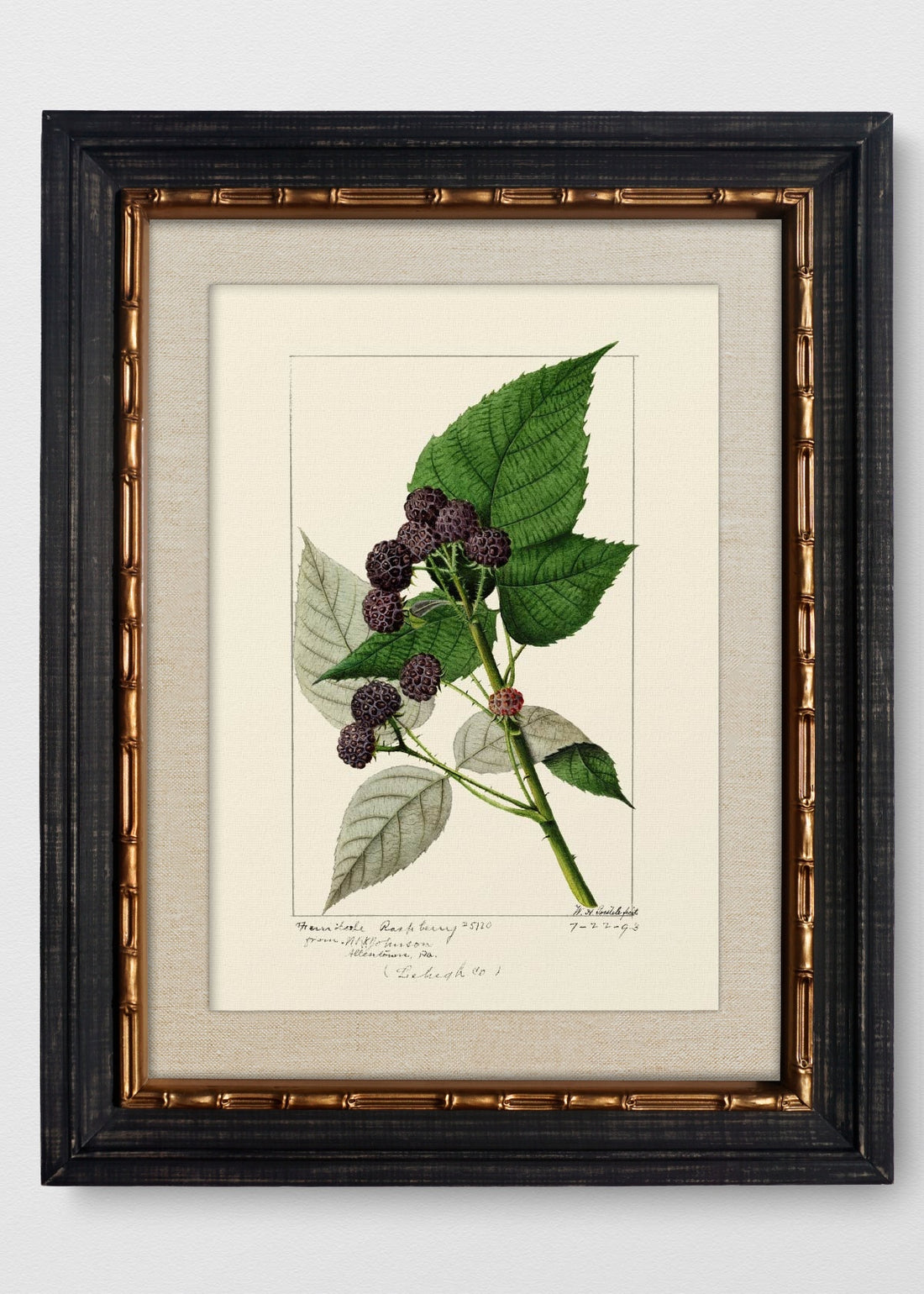 VINTAGE BAMBÚ IMPERIAL LINO CRUDO