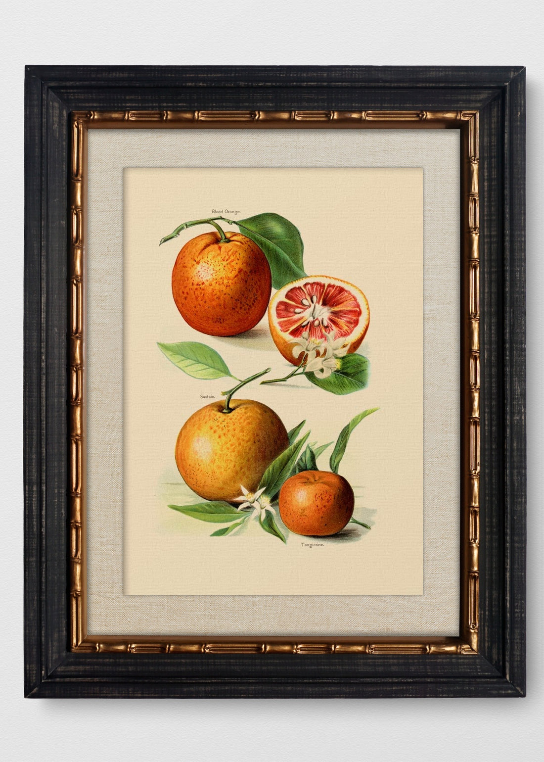 VINTAGE BAMBÚ IMPERIAL LINO CRUDO