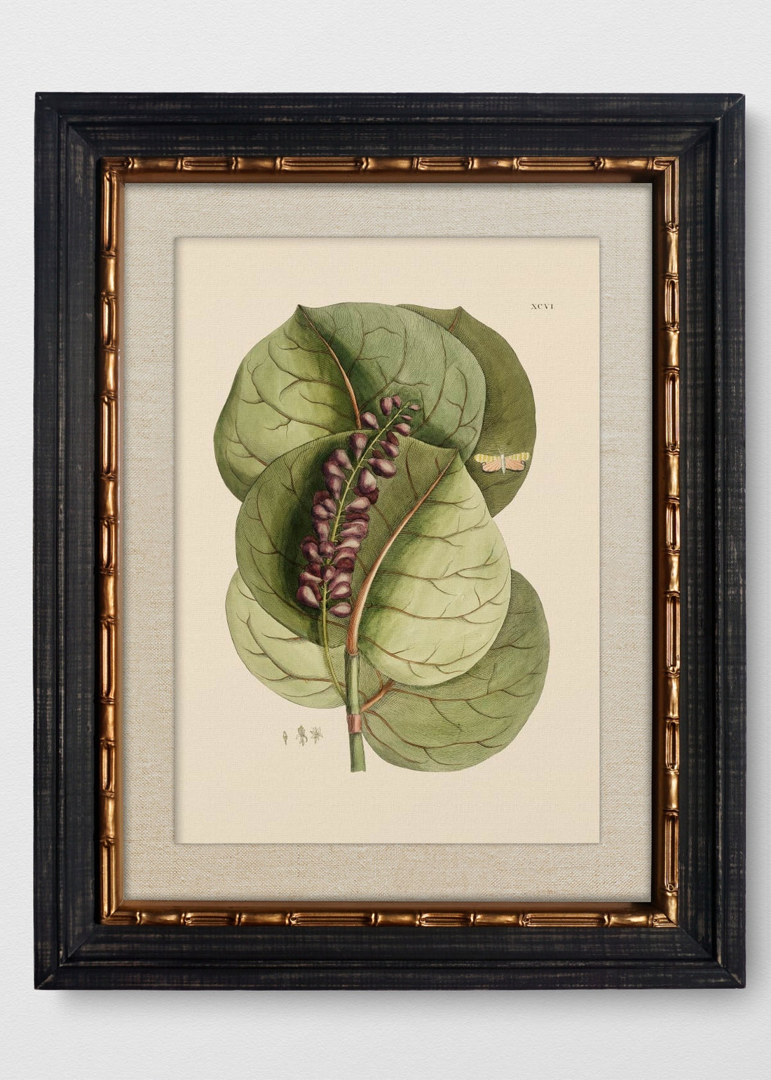 VINTAGE BAMBÚ IMPERIAL LINO CRUDO