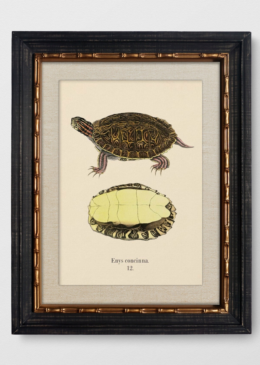 VINTAGE BAMBÚ IMPERIAL LINO CRUDO