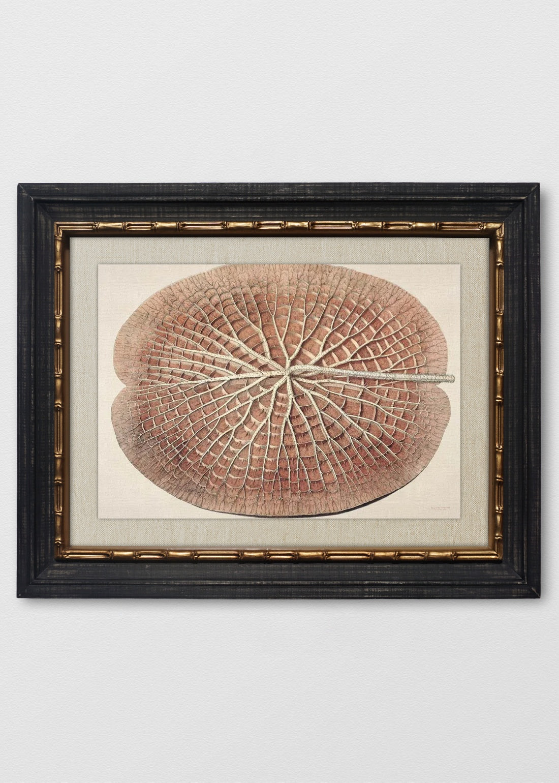 VINTAGE BAMBÚ IMPERIAL LINO CRUDO