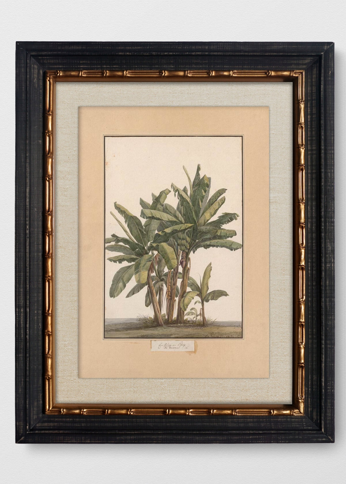VINTAGE BAMBÚ IMPERIAL LINO CRUDO