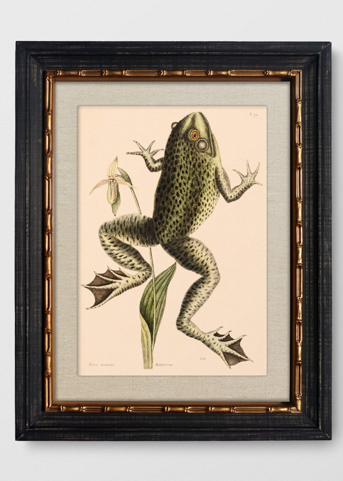 VINTAGE BAMBÚ IMPERIAL LINO CRUDO