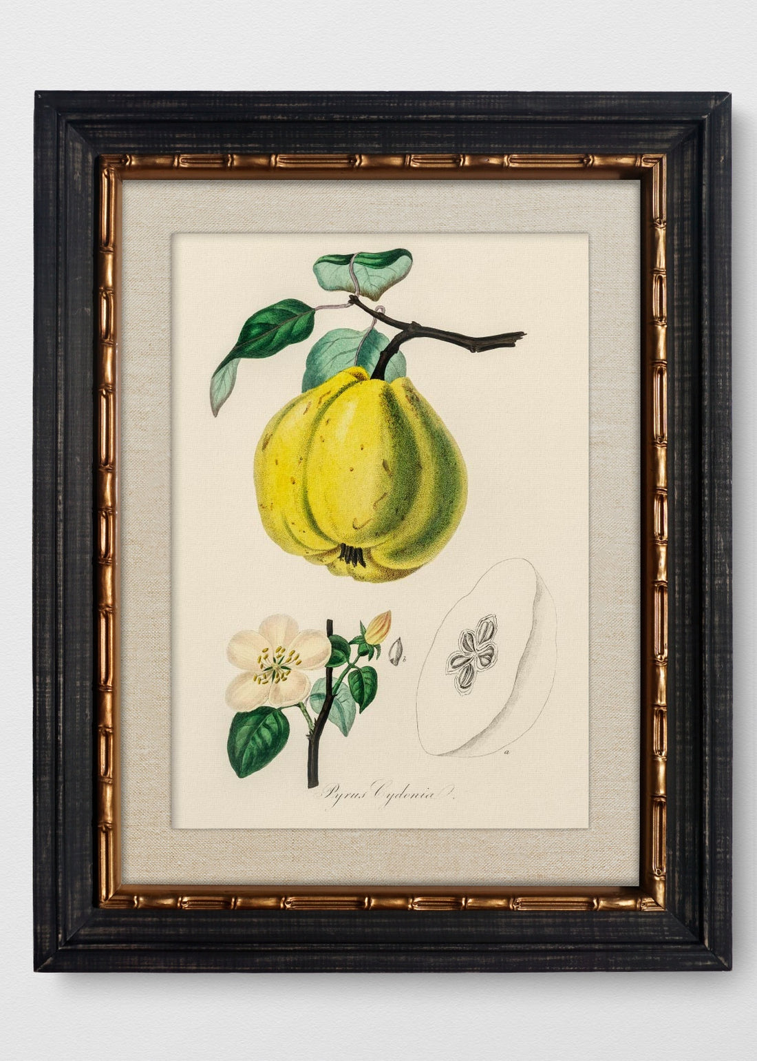VINTAGE BAMBÚ IMPERIAL LINO CRUDO
