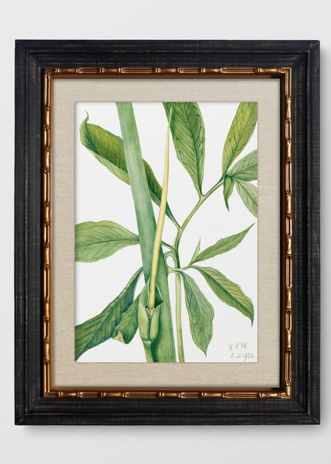 VINTAGE BAMBÚ IMPERIAL LINO CRUDO
