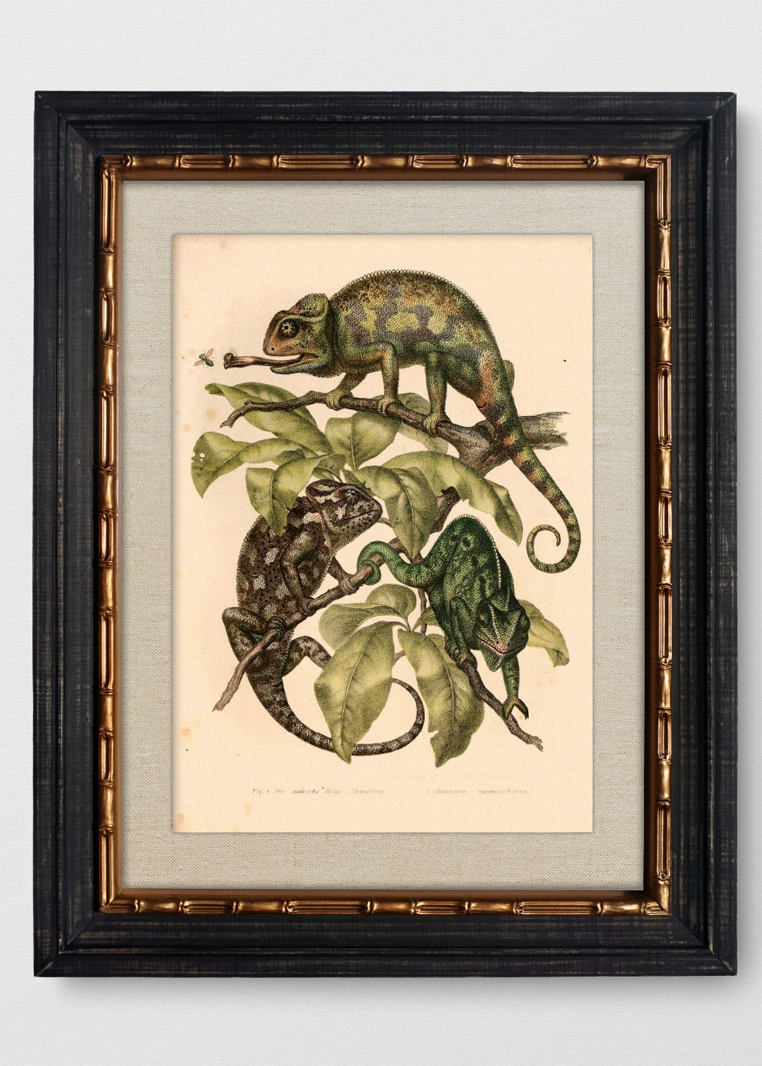 VINTAGE BAMBÚ IMPERIAL LINO CRUDO